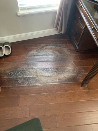 Damage Floor Restoration